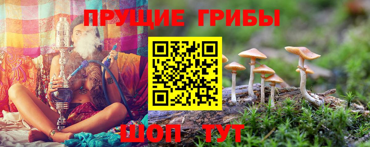 Псилоцибиновые грибы мухоморы  Псилоцибиновые грибы мицелий  Тобольск  Вход с VPN 