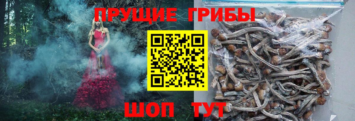 Галлюциногенные грибы мицелий Тобольск